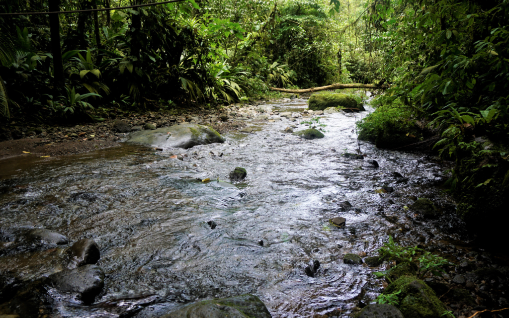 Parque Nacional Braulio Carrillo Costa Rica. Conócelo